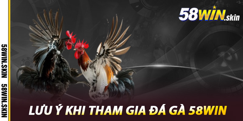 Đá Gà 58win – Điểm Đến Hàng Đầu Cho Các Chiến Kê 3 Lưu ý khi tham gia đá gà 58win